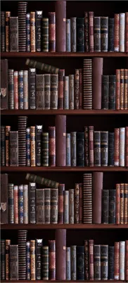 Produktbild von Türtapete Türposter Bücherregal mit alten Büchern - Größe: 93 x 205 cm