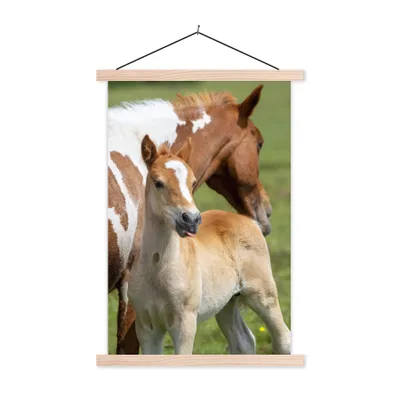Produktbild von MuchoWow® Textilposter Pferde - Fohlen - Gras 40x60 cm mit holzfarbenen Rahmen - Poster