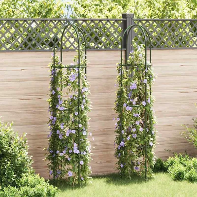 Produktbild von "2026 Promotion" Garten-Ranktürme 2 Stk. - Hohe Qualität - - Rosenbögen CC25106