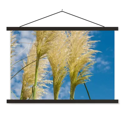Produktbild von MuchoWow® Textilposter Pflanzen - Pampasgras - Luft 90x60 cm mit schwarzem Rahmen - Aufhängungssatz