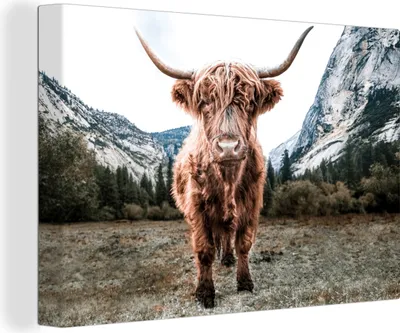 Produktbild von MuchoWow® - Leinwandbilder - Schottischer Highlander - Berg - Tiere, Wandbild, Wanddeko Bilder Wohnzimmer, 90x60 cm