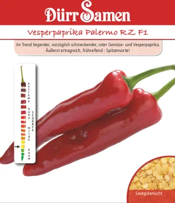 Produktbild von Vesperpaprika Palermo RZ F1 | Vesperpaprikasamen von Dürr Samen
