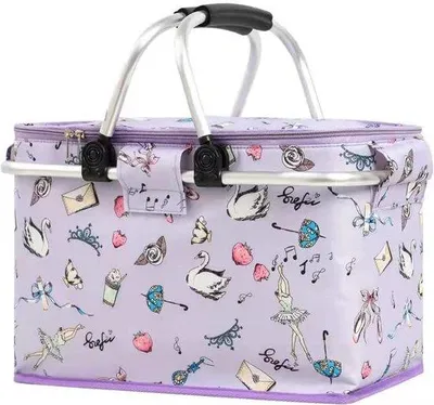 Immagine prodotto di Borsa da picnic pieghevole, 22 L, borsa termica, attività all'aperto, viaggi, campeggio