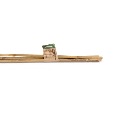 Produktbild von Plantris Bambus-Pflanzenstäbe 90 cm 8–10 mm – 4 Stück, natürliche Rankhilfe für Garten-, Balkon- und Zimmerpflanzen