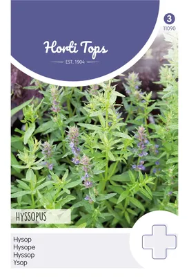 Produktbild von Ysop | Kräutersamen von Hortitops [MHD 07/2025]