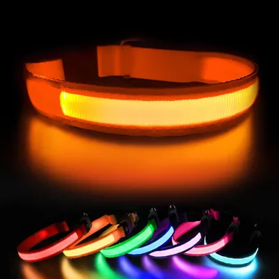 Produktbild von Leuchtender Halsband für Hunde – aufladbar über USB-C – 3 Lichtmodi – wasserdicht – orange – Größe M