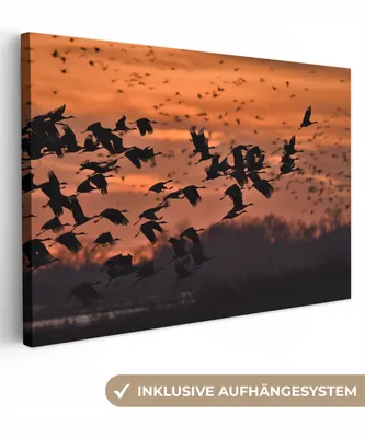Produktbild von OneMillionCanvasses® - Leinwandbilder - 140x90 cm, Ein Kranichschwarm bei Sonnenuntergang, Wandbilder Kunstdruck Wanddekoration
