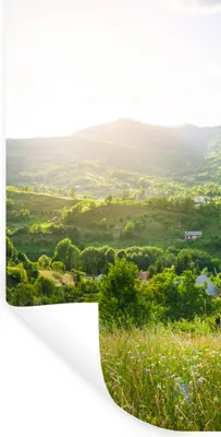 Produktbild von MuchoWow® Wandtattoo Wandsticker Wandaufkleber Wald - Landschaft - Sonne - Natur - Sonnenaufgang 40x80 cm Selbstklebend und Repositionierbar - Repositionierbar - Wasser abweisend
