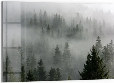 Produktbild von DEQORI Glasbild Echtglas 90x60 cm 'Nebelwaldmystik' Wandbild Bild modern Deko
