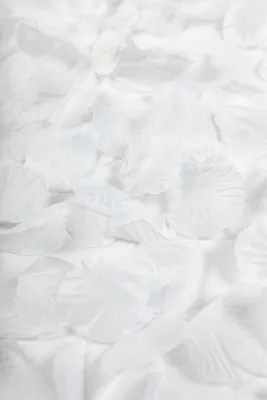 Produktbild von 500 Rosenblätter aus Organza Stoff in Weiß