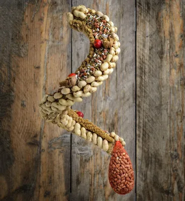 Image de Produits de jardin