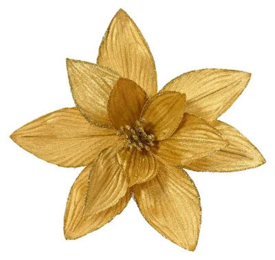 Productafbeelding van Poinsettia pesfluweel d30h15 cm goud Everlands