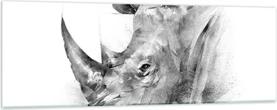 Produktbild von Bilder auf glas - Einteilig - Nashorn Porträt Grafik - 90x30cm - Glasbilder - Wandbilder - Bilder - zum Aufhängen bereit - Wanddekoration aus Glas - Glas Bilder - Wandbild auf Glas - GAB90x30-4378