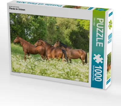 Produktbild von CALVENDO Puzzle Ein Motiv aus dem Kalender Pferde im Grünen | 1000 Teile Lege-Größe 64x48cm Foto-Puzzle für glückliche Stunden
