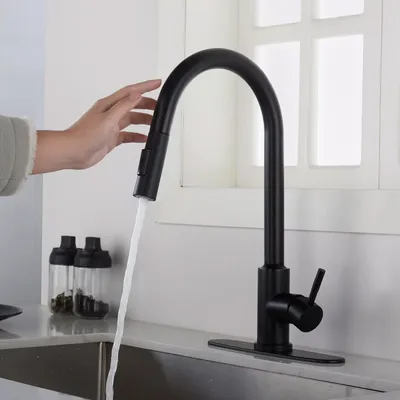 Zdjęcie produktu dla Bateria zlewozmywakowa Fresh czarny mat (REA-B9147)
