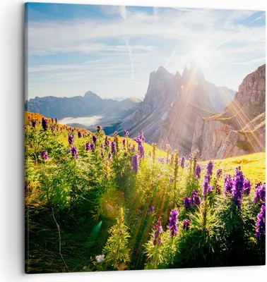 Produktbild von Bild auf Leinwand - Leinwandbild - Berge Wiese Blumen - 50x50cm - Wand Bild - Wanddeko - Wandbilder - Leinwanddruck - Bilder - Kunstdruck - Wanddekoration - Leinwand bilder - Wandkunst - AC50x50-4008