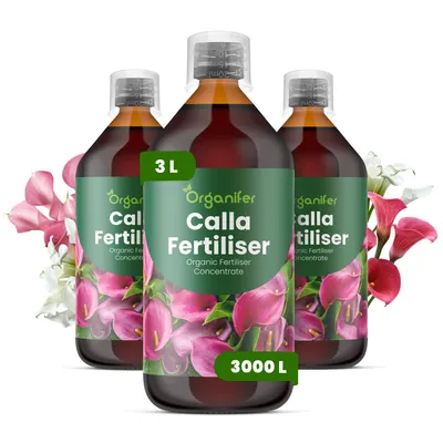 Zdjęcie produktu dla Calla Nawóz Płynny 3x1 L – 3-4-3 NPK – Do Kvitnúce Rośliny – Do Bujne Kwiaty i Silne Rhizómy – Podporuje Korzenie i Vitalitu – Organifer