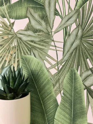 Produktbild von NEWROOM Tapete Grün Vliestapete Dschungel - Mustertapete Modern Weiß  Palmen Blätter Blumentapete Tropisch Dschungeltapete