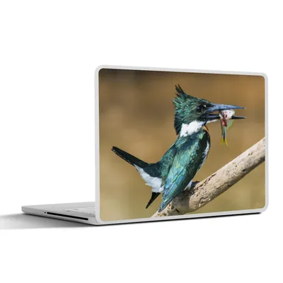 Produktbild von MuchoWow® Laptop Aufkleber Sticker Cover Vogel - Fisch - Zweig 32.5x23.5 cm - Sticker für Laptop - Selbstklebend