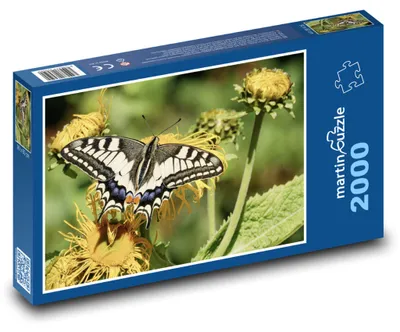 Obrázok produktu pre Puzzle 2000 Motýľ na kvete - opeľovanie - martinpuzzle