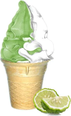 Immagine prodotto di Gelato soft allo yuzu in polvere 1 kg