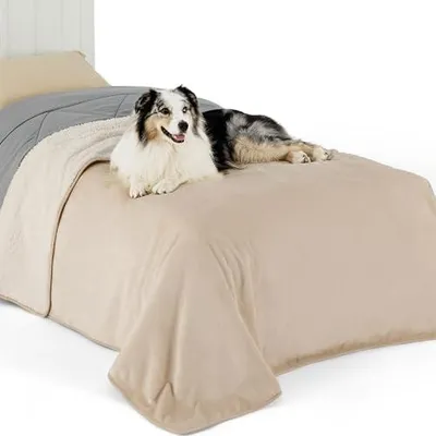 Produktbild von Lesure wasserdichte Hundedecke Grosse Hunde - 152x203cm waschbar Hundedecke Outdoor, XL Hundedecke Sofaschutz aus Sherpa Fleece, Katzendecke flauschig für Couch, cremefarben