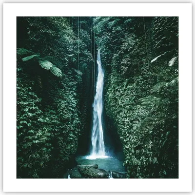 Produktbild von Poster - Poster ohne Rahmen - Tropen Wasserfall Dschungel - 50x50 cm - Wand Bild - Wanddeko - Wandbilder - Kunstposter - Wandposter - Bilder - Kunstdruck - Wanddekoration - Wandbild - P2XAC50x50-5103