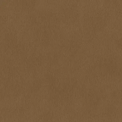 Zdjęcie produktu dla Tapeta flizelinowa 751079 Jednokolorowa tapeta gładka 53 x 1005 cm Rasch African Queen III Brown