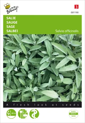 Produktbild von Salbei | Salbeisamen von Buzzy Seeds
