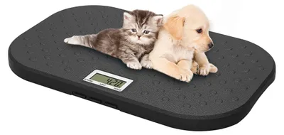 Image de Balance numérique pour animaux, capacité de 40 kg avec une précision de 10 g