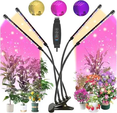 Productafbeelding van Groeilamp met Volledig Spectrum, 80 LED's, 3 Verlichtingsmodi en Afstandsbediening voor Planten