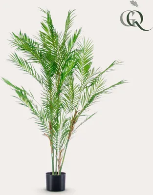 Produktbild von Umelá rastlina - Chamaedorea Elegans - Horská palma - 120 cm