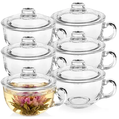 Produktbild von Vilde | Glastassen 6er Set 520 ml mit Deckel - Transparentes Glas