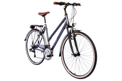 Produktbild von WYNN Trekkingrad 28 Zoll TRK1.0 grau Rahmenhöhe 53 cm Damen 21 Gänge V-Brake