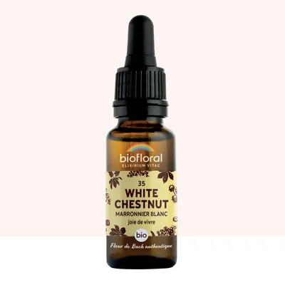Image de Biofloral - Fleur de Bach n°35 White Chestnut, Marronnier Blanc -Demeter - 20 ml