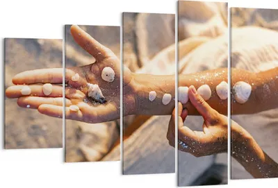 Produktbild von Bild auf Leinwand - Leinwandbild - 5 Teile - Muschel Hand Strand - 150x100cm - Wand Bild - Wanddeko - Wandbilder - Leinwanddruck - Bilder - Wanddekoration - Leinwand bilder - Wandbild - EG150x100-5102