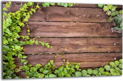 Produktbild von Herdabdeckplatte Glaskeramikkochfeld-Abdeckung Spritzschutz Glas 80x52 Holz