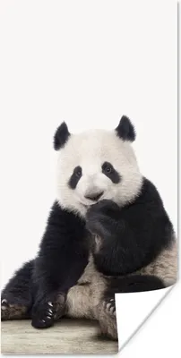 Produktbild von MuchoWow® Poster Panda - Tiere - Jungen - Mädchen - Pandabär 20x40 cm - Plakat - Foto
