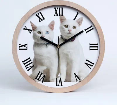 Produktbild von Holzuhr 25fi cm wanduhr - schwarze Spitzen - weiße Katzen