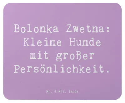 Produktbild von Mr. & Mrs. Panda Mousepad Spruch Bolonka Zwetna Charme - Lavendeltraum - Geschenk, Hundeliebhaber, Hunderassen Vielfalt, Hunderasse, mousematte, Mauspad, laptop