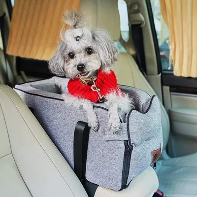 Image de Siège auto pour chiens et chats de petite taille, amovible, lavable, jusqu'à 6 kg, pour console centrale, panier pour animaux de compagnie