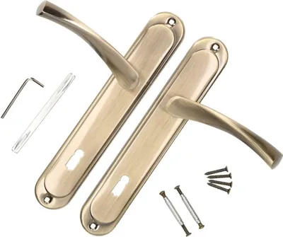 A pair of door handles with their accessories on a white background.