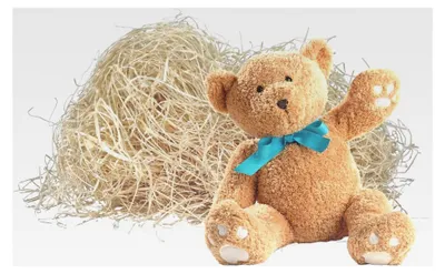 Produktbild von 1kg  - EXTRA FEIN | Füllmaterial für Pakete | Füllmaterial für Insektenhotels | Holzwolle aus PEFC-em Fichtenholz | 100% biologisches Verpackungsmaterial | Euterholzwolle