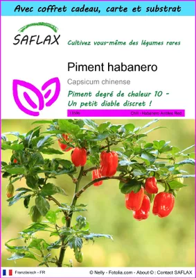 Image de SAFLAX Ensemble-cadeau - Piment habanero - 10 graines - Capsicum