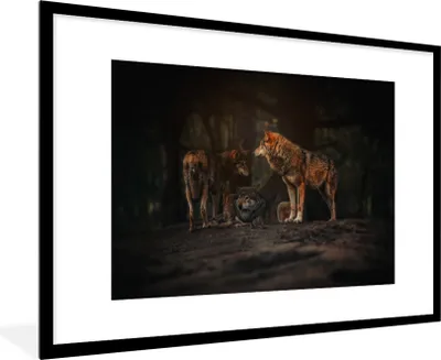 Produktbild von MuchoWow® Gerahmtes Poster Wolf - Tiere - Wald 90x60 cm - Poster mit Schwarzem Bilderrahmen Wandposter Rahmen Foto Bilder - Wanddekoration - Fotos