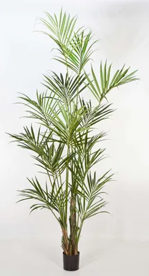 Produktbild von artplants.de Künstliche Kentia Palme Natural, 344 Blätter, 260cm - hochwertige Dekopalme - Kunstpalme