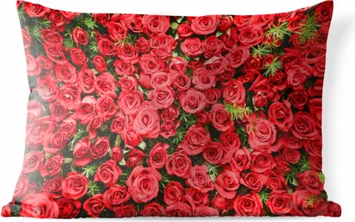 Produktbild von MuchoWow® Outdoor Kissen - Rosen - Rot - Strauch - 60x40 cm - Wetterfest - Lounge Kissen - Zierkissen - Kissen für Innenräume