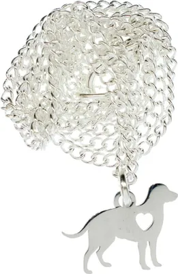 Produktbild von Golden Retriever Kette Halskette Miniblings 45cm Hund Herz Edelstahl versilbert