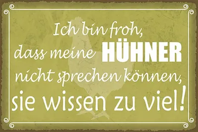 Produktbild von vianmo Holzschild 12x18 cm froh meine Hühner nicht sprechen
