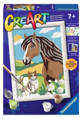 Obrázok produktu pre Ravensburger 12023056, 1 strany, Obrazy v balení, Chlapec / dievča, Súprava farieb s číslami